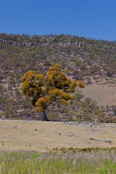 20121020-_MG_9692.jpg - Lower Flinders Ranges